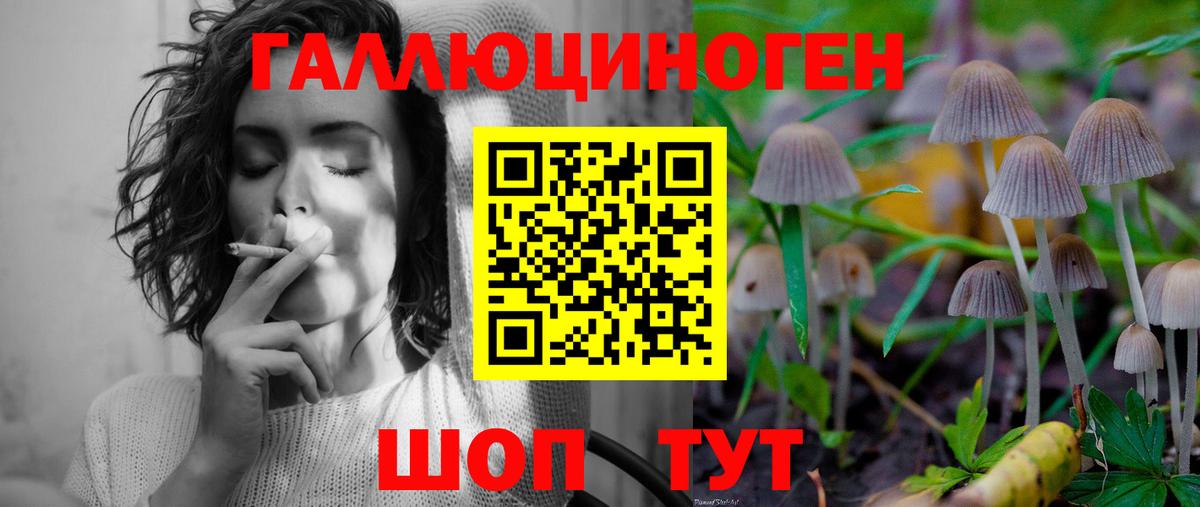 Псилоцибиновые грибы Cubensis Ишимбай